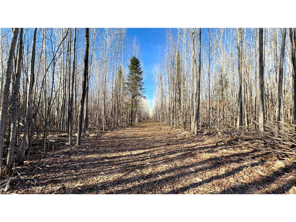 Lot E County Road 79 Littlefork MN 56653 - Little Fork River 7073837 image13