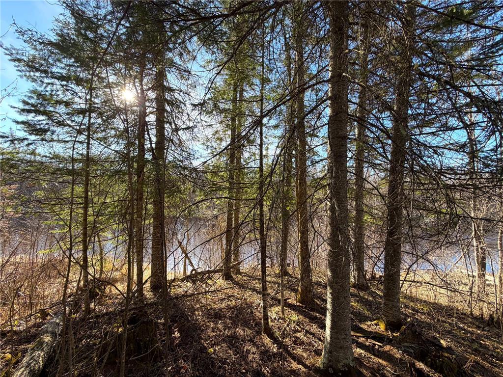 Lot E County Road 79 Littlefork MN 56653 - Little Fork River 7073837 image17