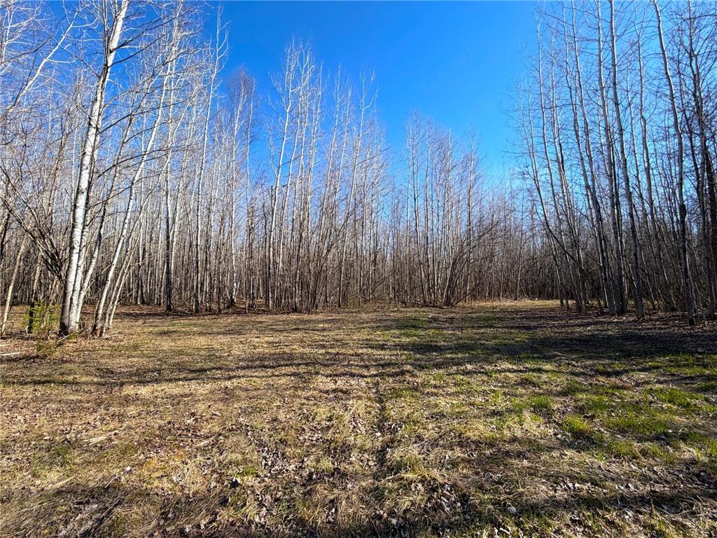 Lot E County Road 79 Littlefork MN 56653 - Little Fork River 7073837 image20
