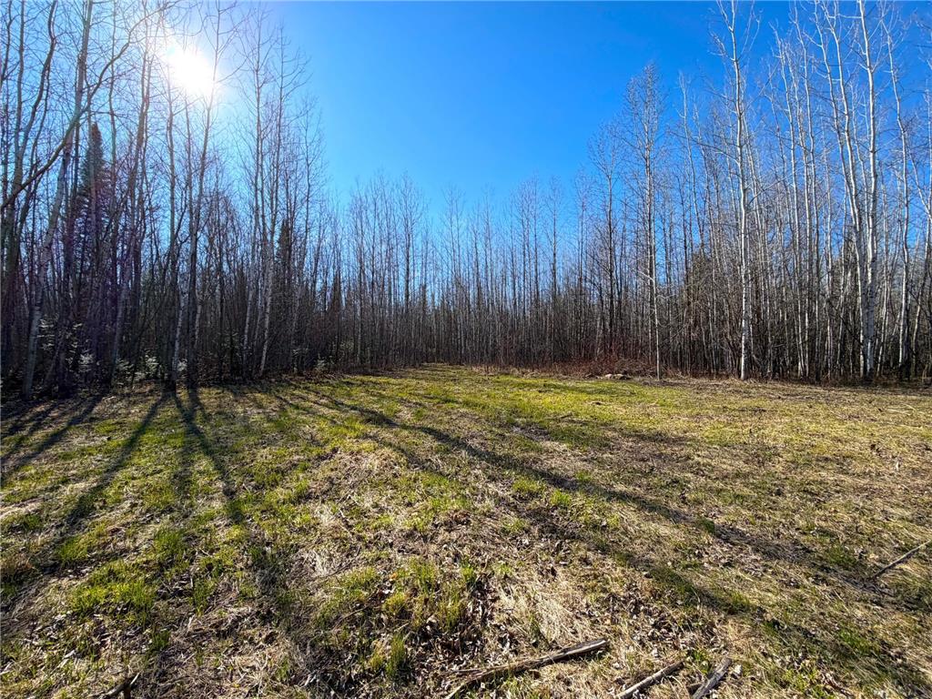 Lot E County Road 79 Littlefork MN 56653 - Little Fork River 7073837 image21