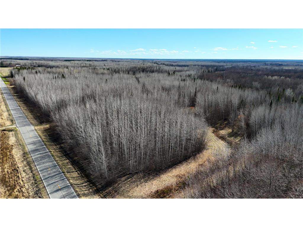 Lot E County Road 79 Littlefork MN 56653 - Little Fork River 7073837 image31