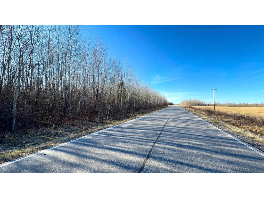 Lot E County Road 79 Littlefork MN 56653 - Little Fork River 7073837 image35