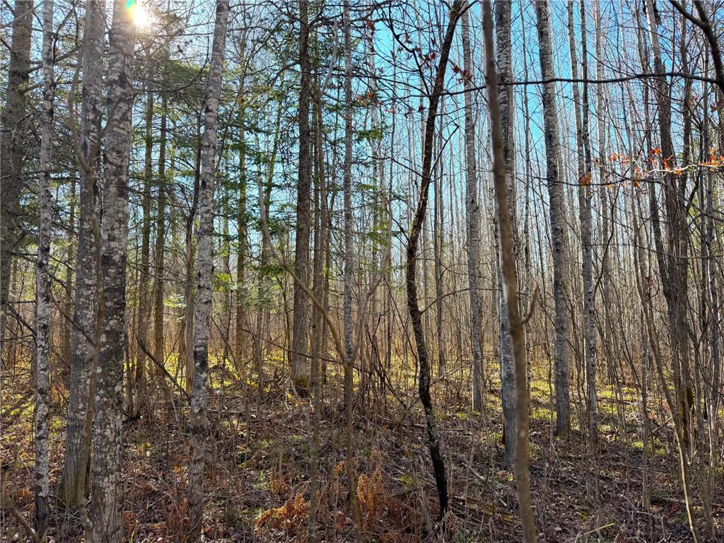 Lot E County Road 79 Littlefork MN 56653 - Little Fork River 7073837 image43