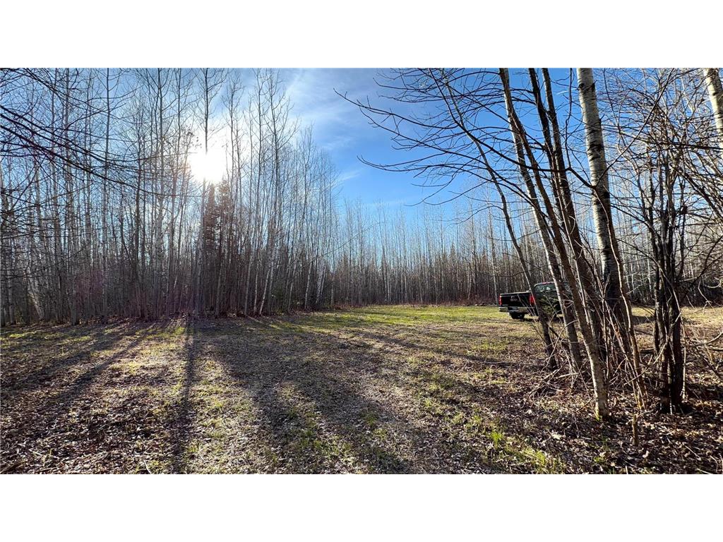 Lot E County Road 79 Littlefork MN 56653 - Little Fork River 7073837 image9