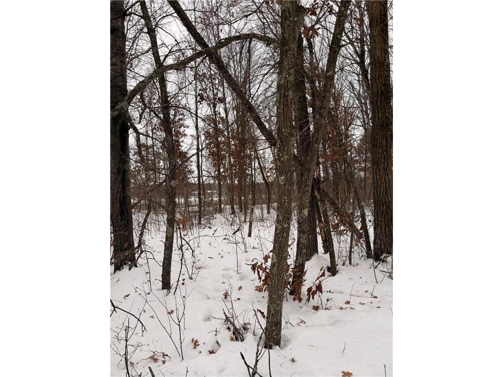 Lot E Sandbar Lane Mission Twp MN 56465 7063137 image16