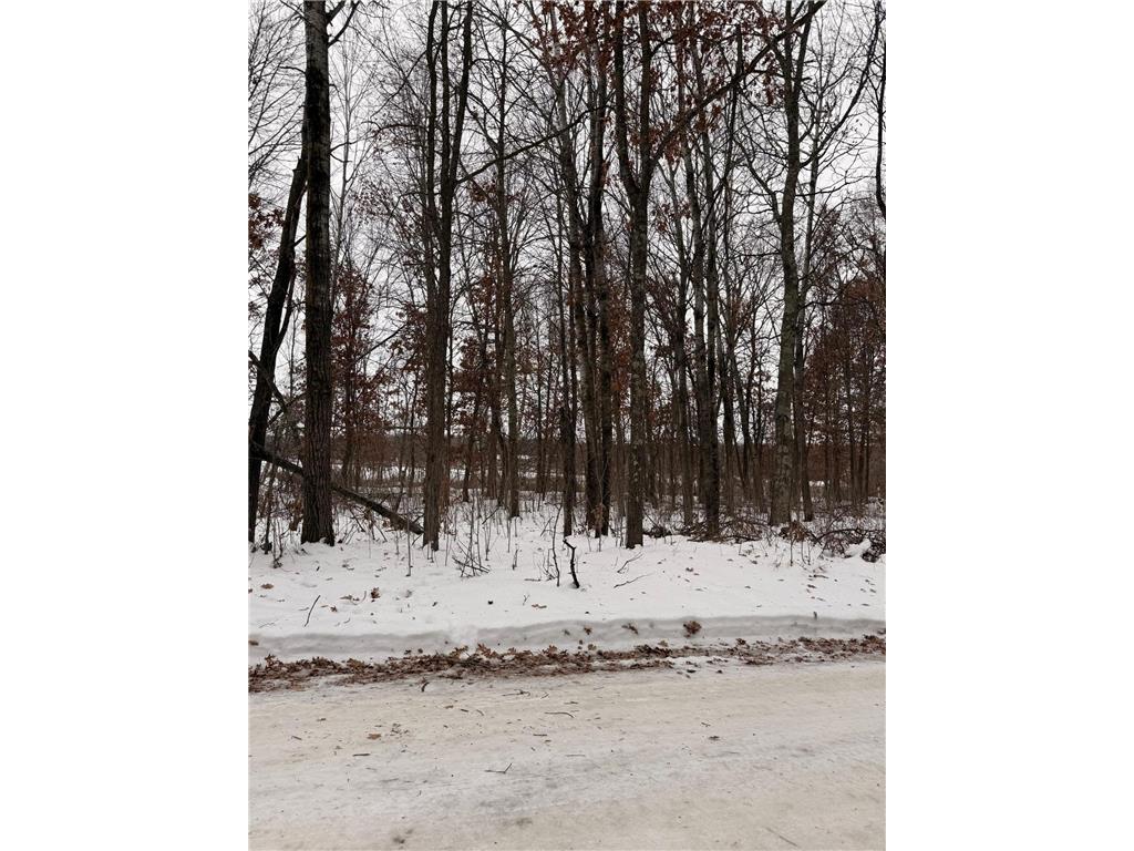 Lot E Sandbar Lane Mission Twp MN 56465 7063137 image19