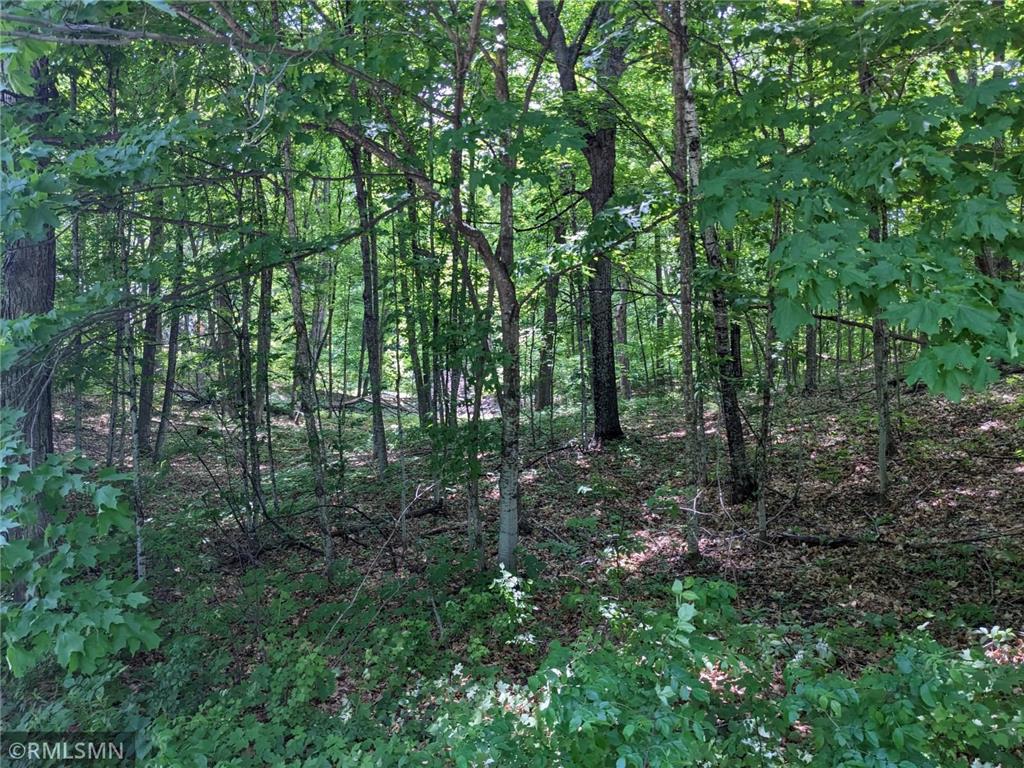 Lot Grandview Loop Long Prairie MN 56347 6381002 image1