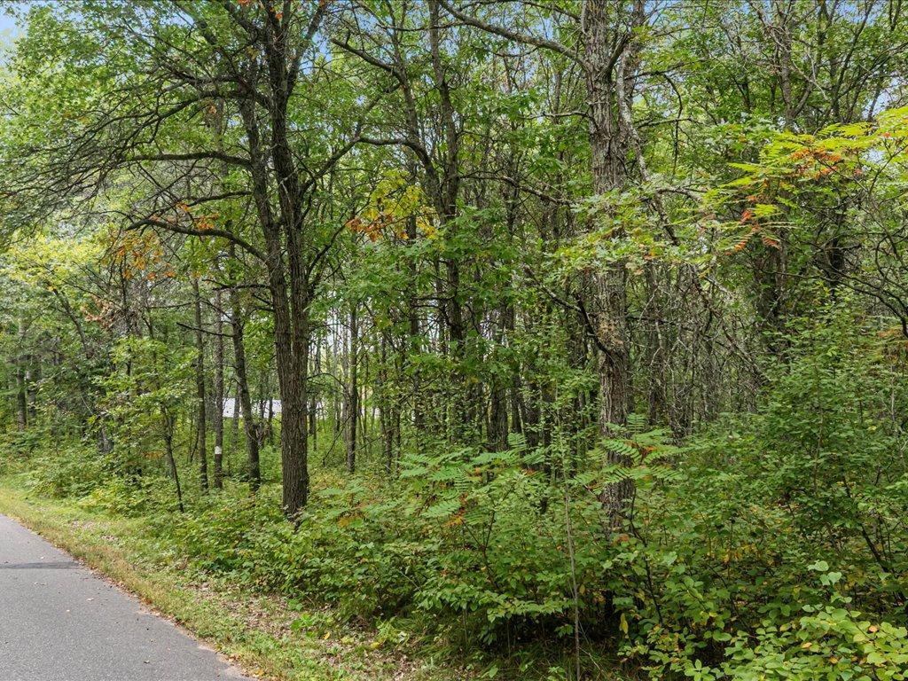 Lot H Sandbar Lane Mission Twp MN 56465 7081860 image11