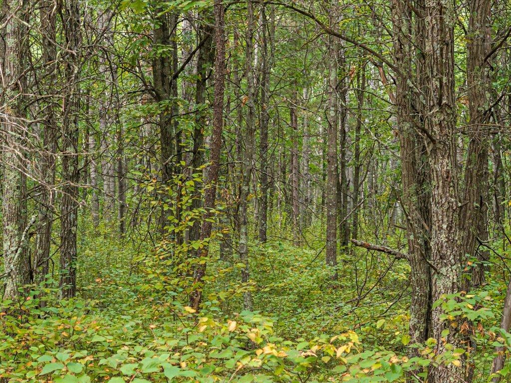 Lot H Sandbar Lane Mission Twp MN 56465 7081860 image2