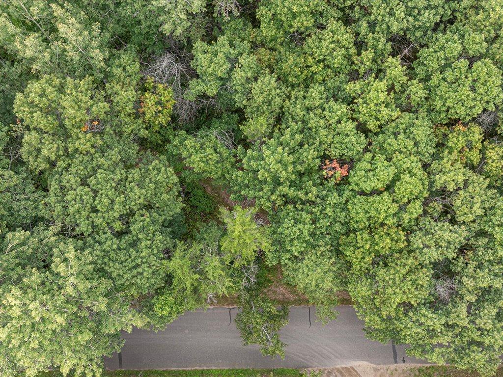 Lot H Sandbar Lane Mission Twp MN 56465 7081860 image3