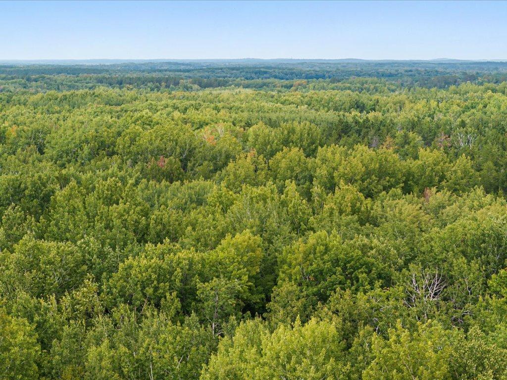 Lot H Sandbar Lane Mission Twp MN 56465 7081860 image4