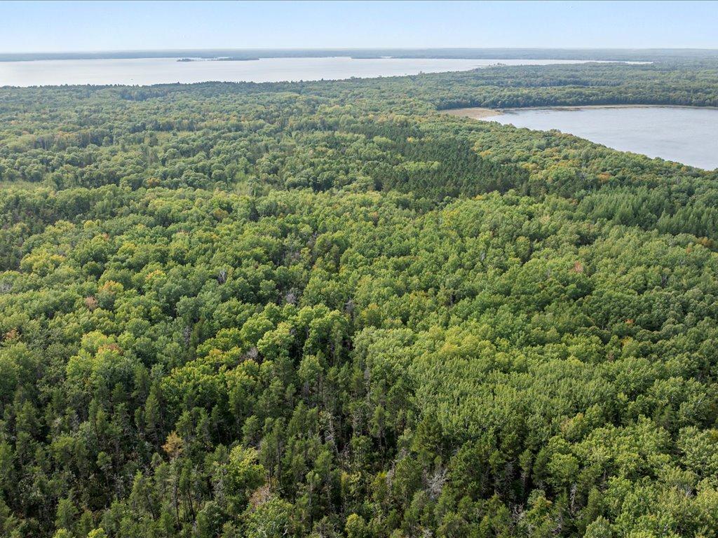 Lot H Sandbar Lane Mission Twp MN 56465 7081860 image5
