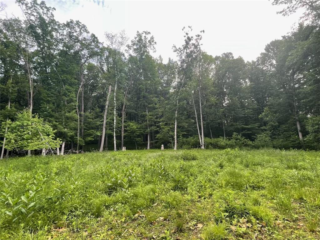 Lot's 45 & 6 Anderson Hill Lane Boyceville WI 54725 6716746 image10