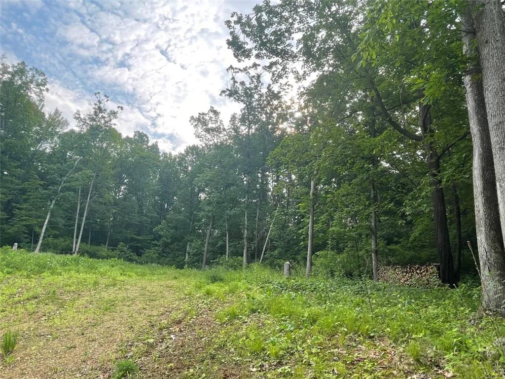 Lot's 45 & 6 Anderson Hill Lane Boyceville WI 54725 6716746 image11