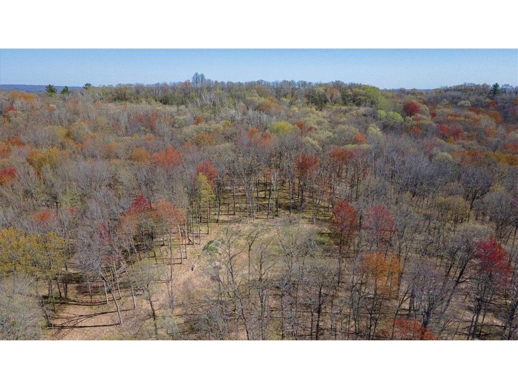 Lot's 45 & 6 Anderson Hill Lane Boyceville WI 54725 6716746 image17