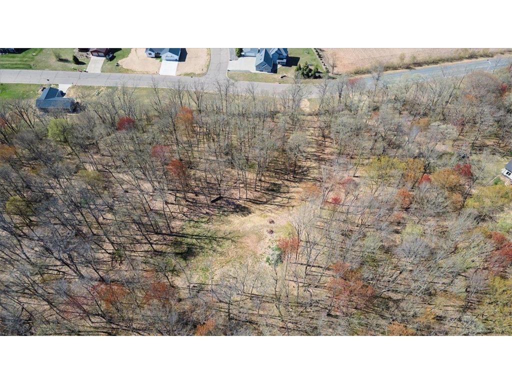 Lot's 45 & 6 Anderson Hill Lane Boyceville WI 54725 6716746 image21