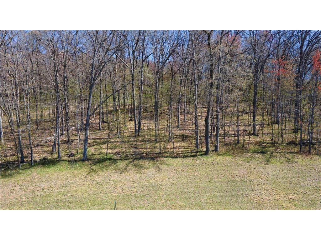 Lot's 45 & 6 Anderson Hill Lane Boyceville WI 54725 6716746 image23