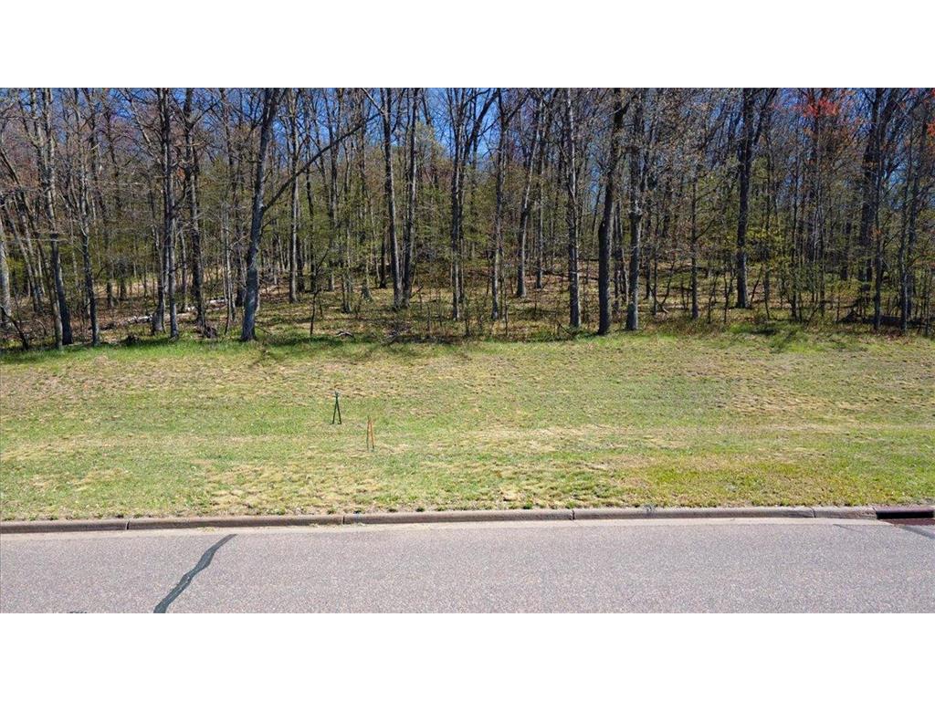 Lot's 45 & 6 Anderson Hill Lane Boyceville WI 54725 6716746 image25