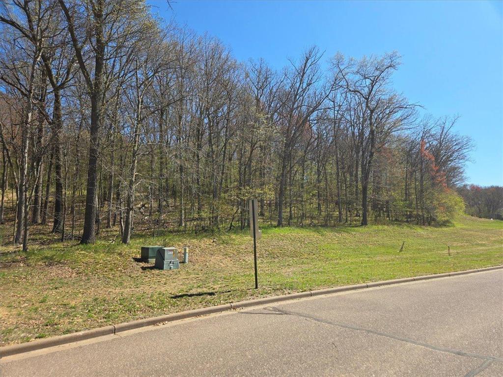 Lot's 45 & 6 Anderson Hill Lane Boyceville WI 54725 6716746 image26