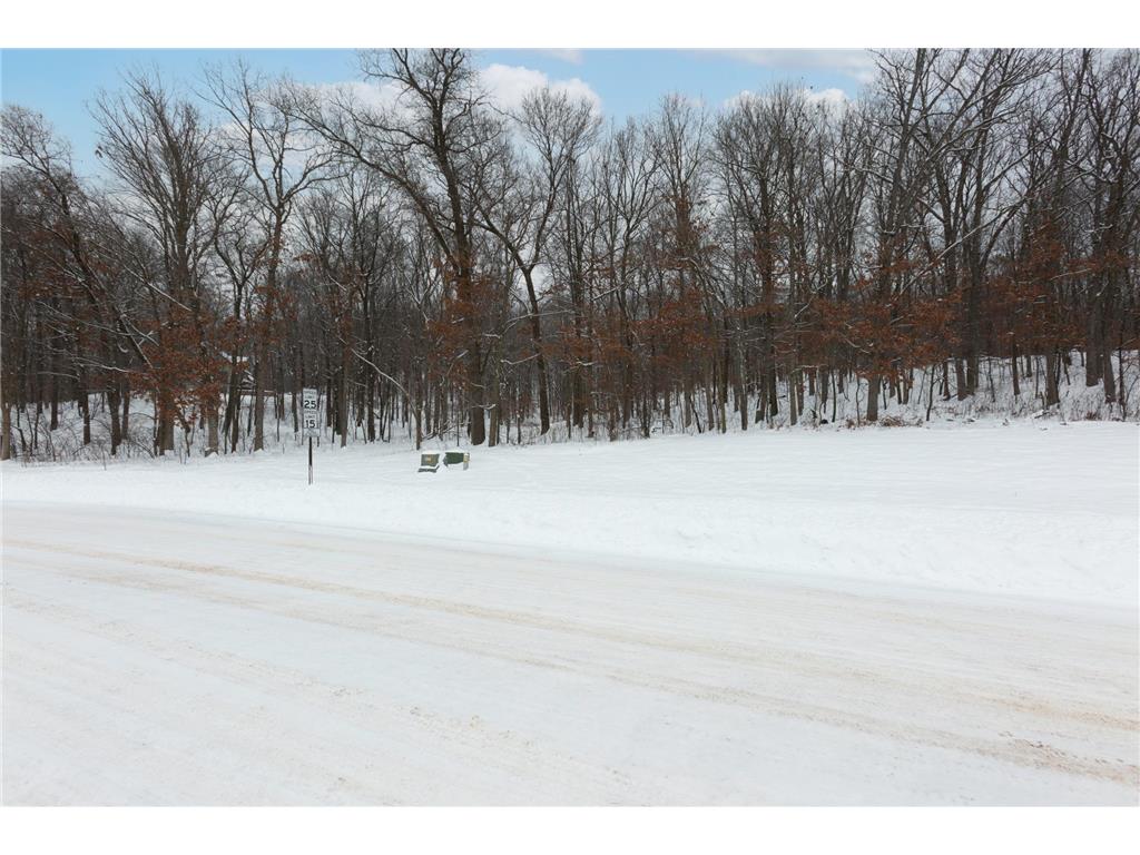 Lot's 45 & 6 Anderson Hill Lane Boyceville WI 54725 6716746 image3