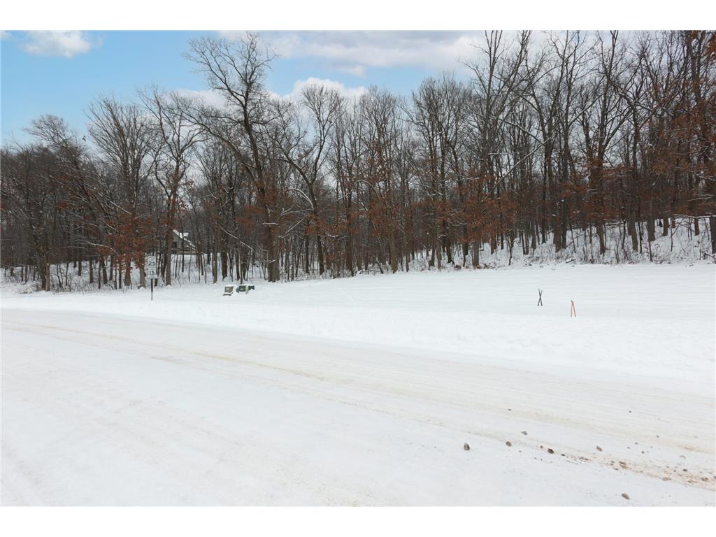 Lot's 45 & 6 Anderson Hill Lane Boyceville WI 54725 6716746 image4