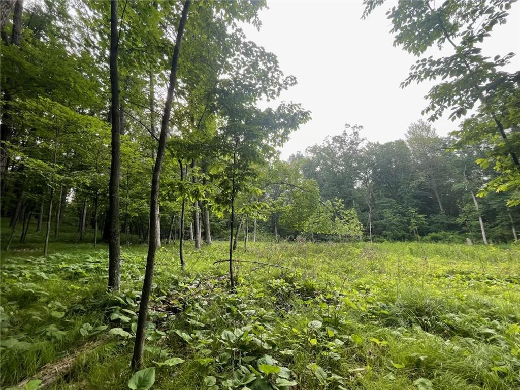 Lot's 45 & 6 Anderson Hill Lane Boyceville WI 54725 6716746 image5