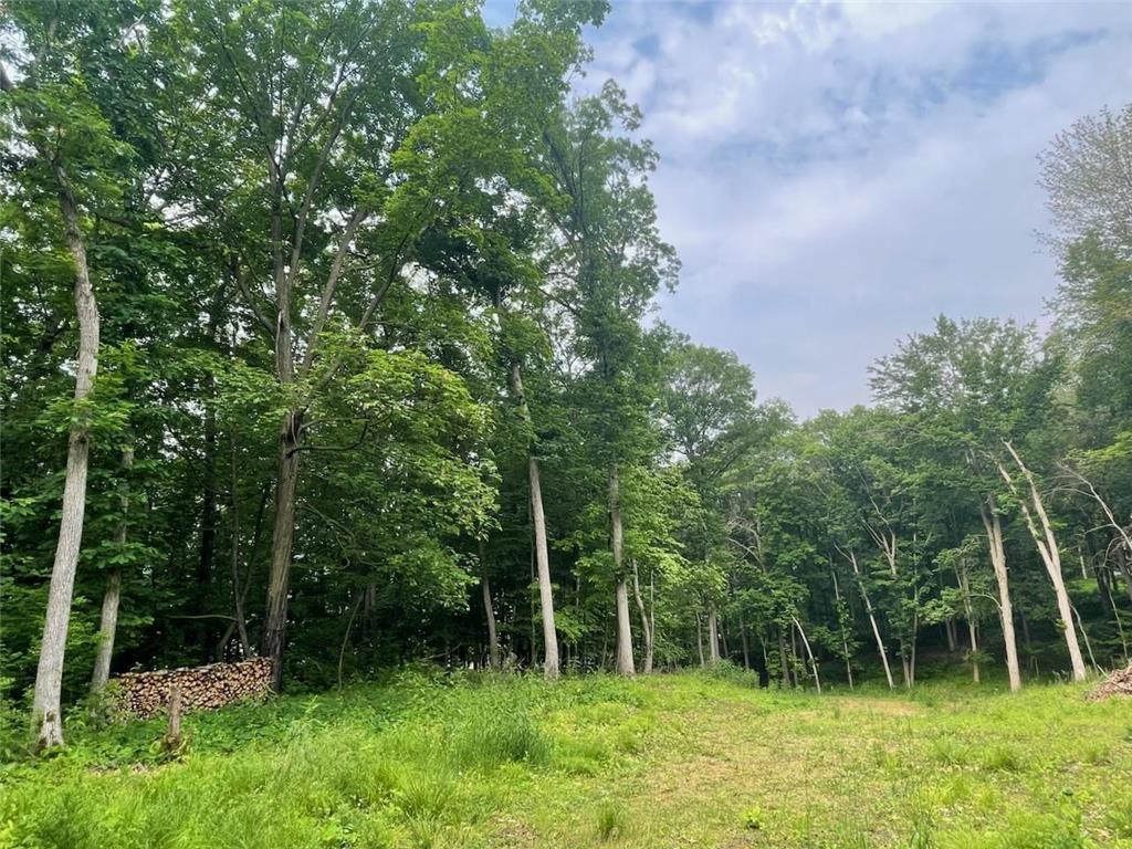 Lot's 45 & 6 Anderson Hill Lane Boyceville WI 54725 6716746 image7