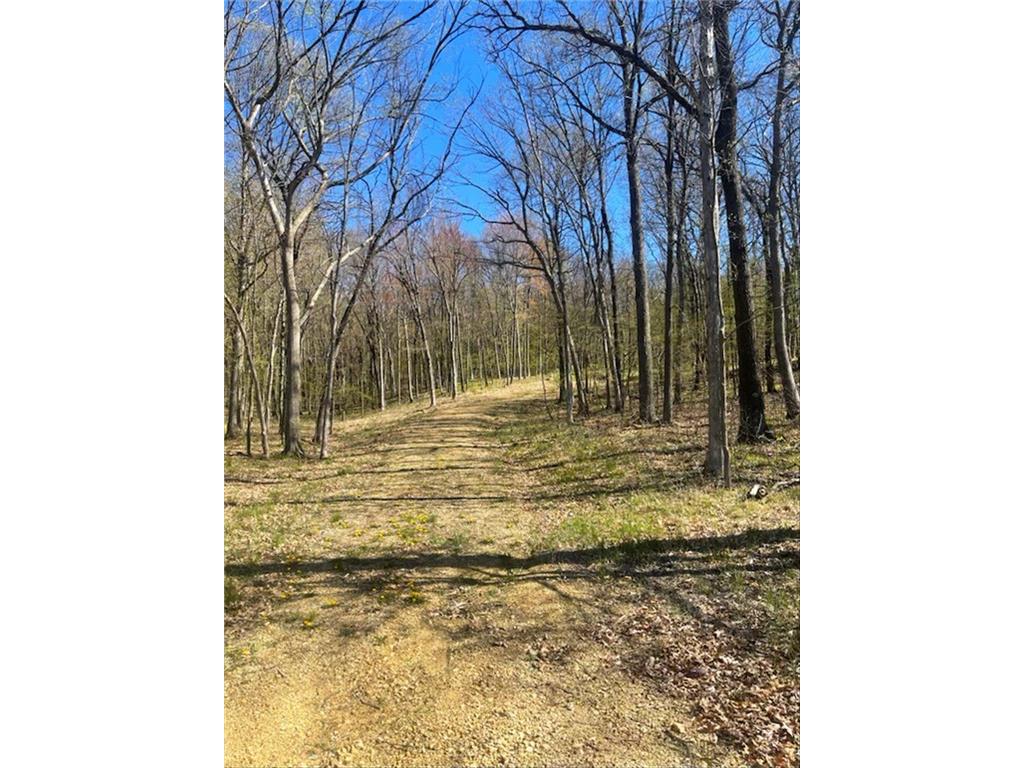 Lot's 45 & 6 Anderson Hill Lane Boyceville WI 54725 6716746 image8