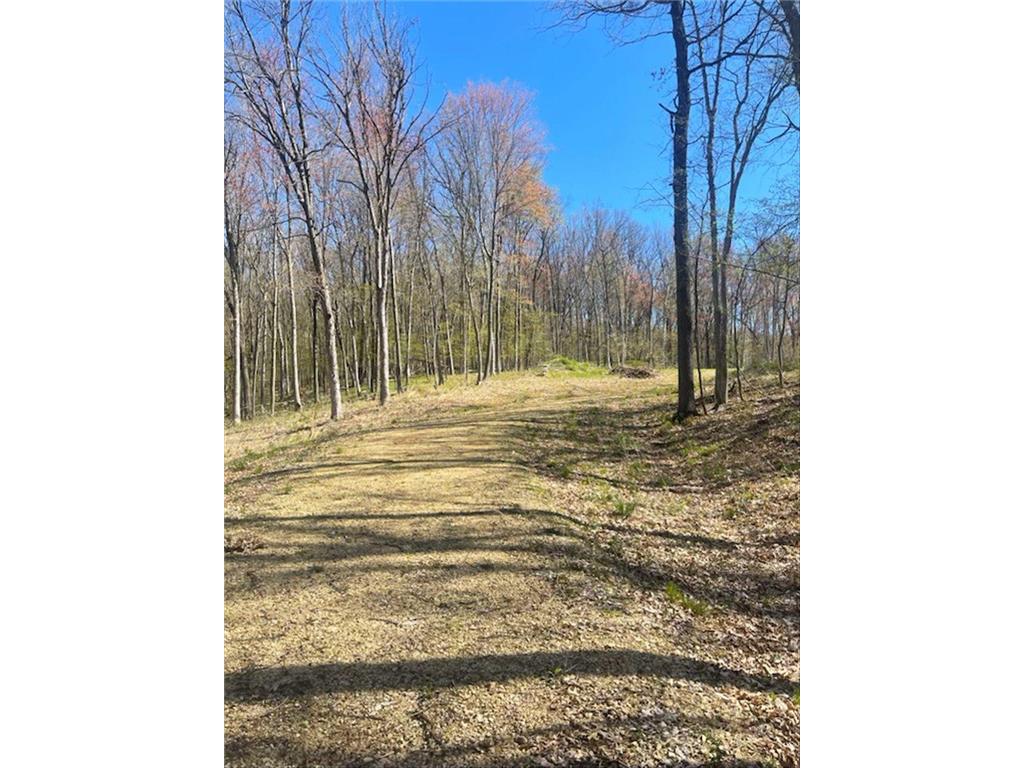 Lot's 45 & 6 Anderson Hill Lane Boyceville WI 54725 6716746 image9