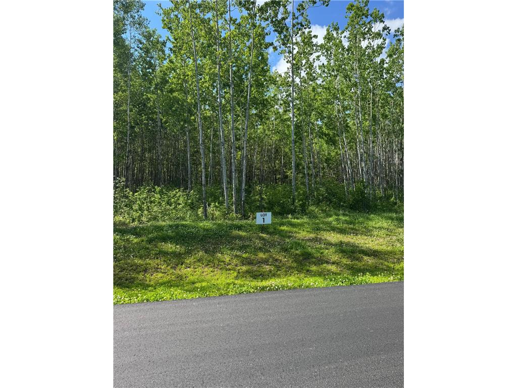 Lot xx1 Wildamere Drive Jenkins MN 56474 7043691 image7