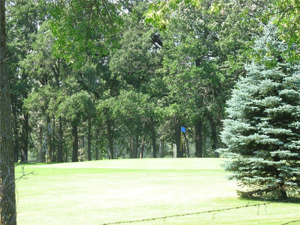 Lot1 Blk1 285th Otter Tail Twp MN 56515 7062938 image12
