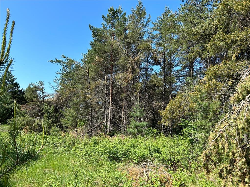 Lot2 Conifer Lane SW Sylvan Twp MN 56473 6380090 image1