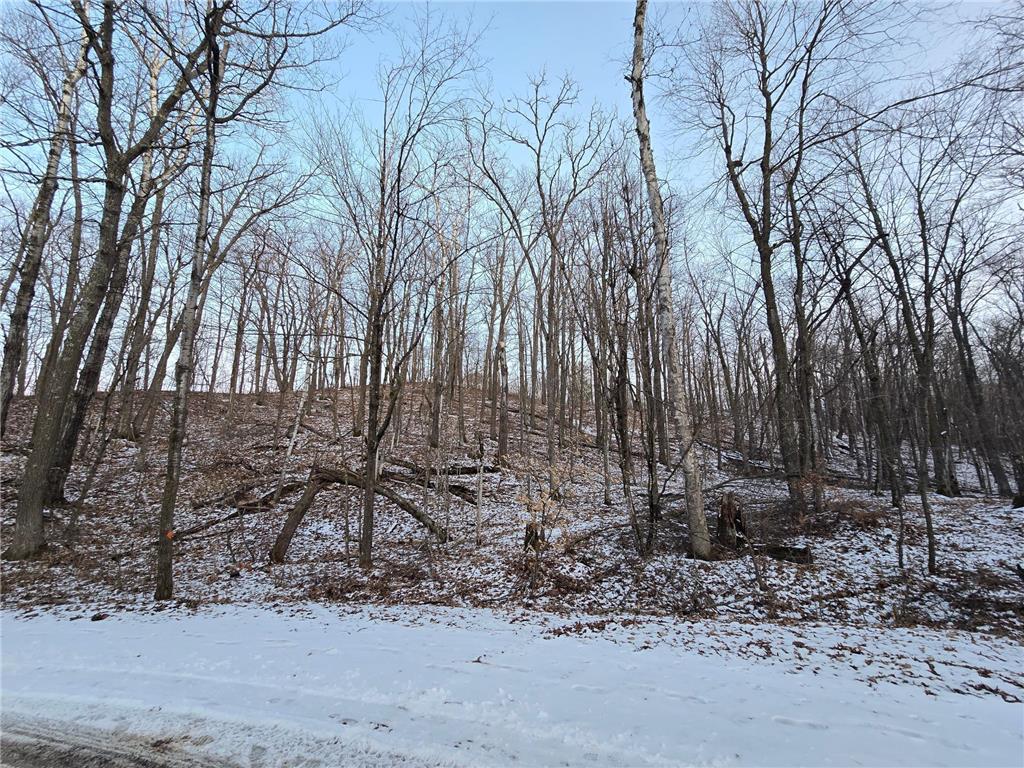Lot25Blk1 Westward Ho Garrison MN 56450 6811519 image1