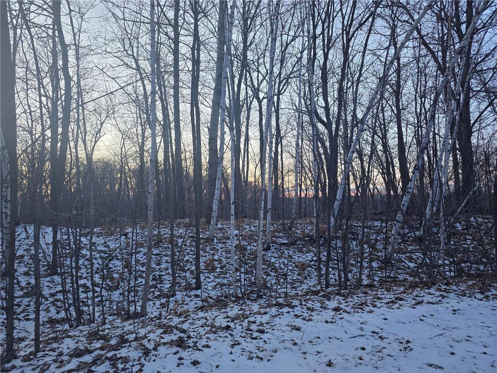 Lot25Blk1 Westward Ho Garrison MN 56450 6811519 image12