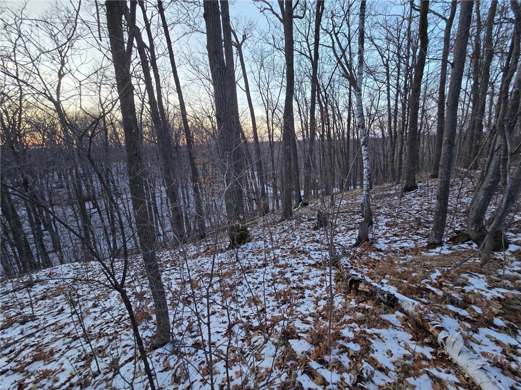 Lot25Blk1 Westward Ho Garrison MN 56450 6811519 image14