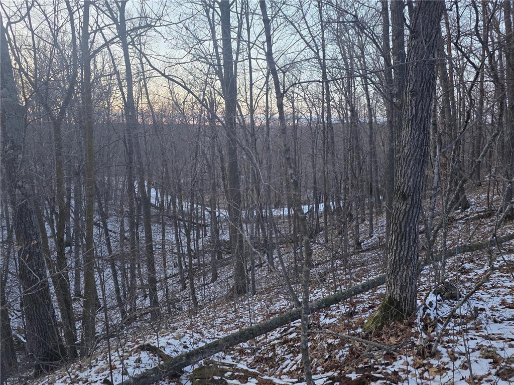 Lot25Blk1 Westward Ho Garrison MN 56450 6811519 image17