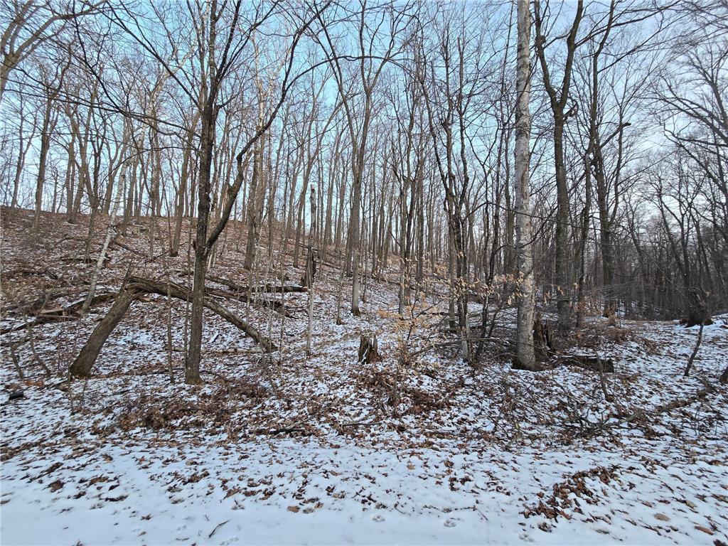 Lot25Blk1 Westward Ho Garrison MN 56450 6811519 image2