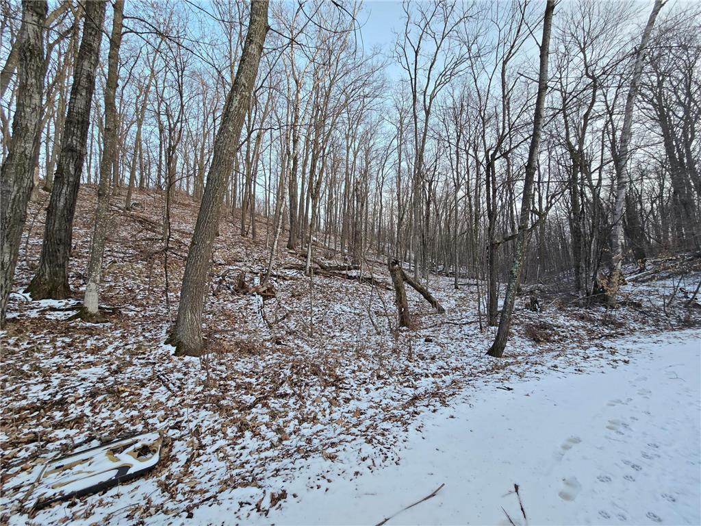 Lot25Blk1 Westward Ho Garrison MN 56450 6811519 image3