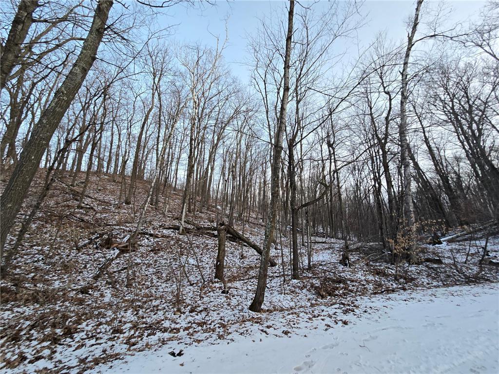 Lot25Blk1 Westward Ho Garrison MN 56450 6811519 image4