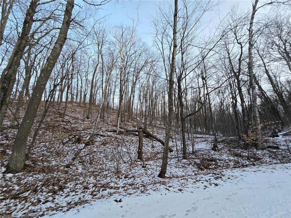 Lot25Blk1 Westward Ho Garrison MN 56450 6811519 image5