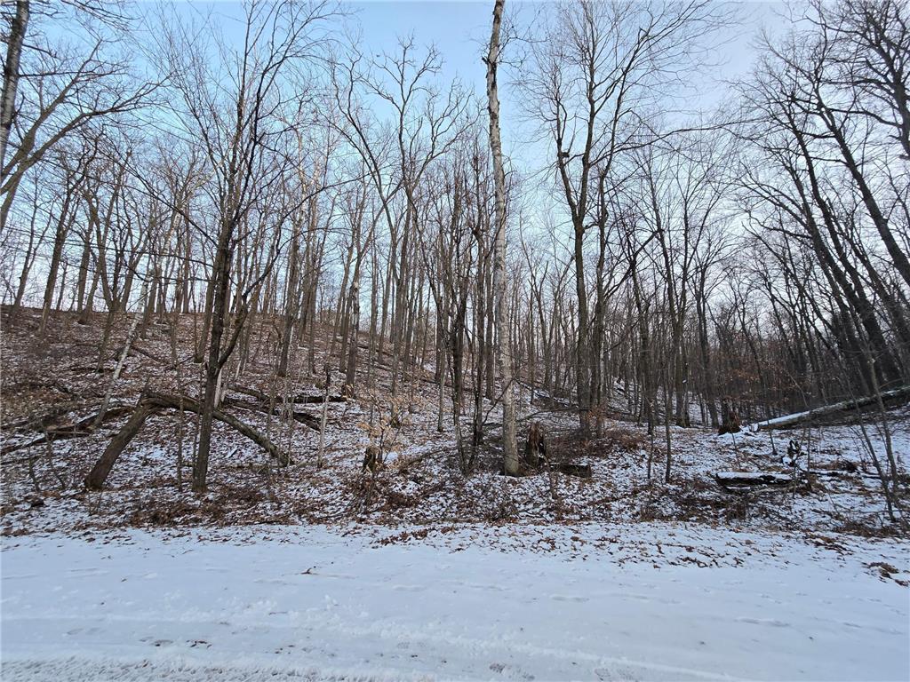 Lot25Blk1 Westward Ho Garrison MN 56450 6811519 image6