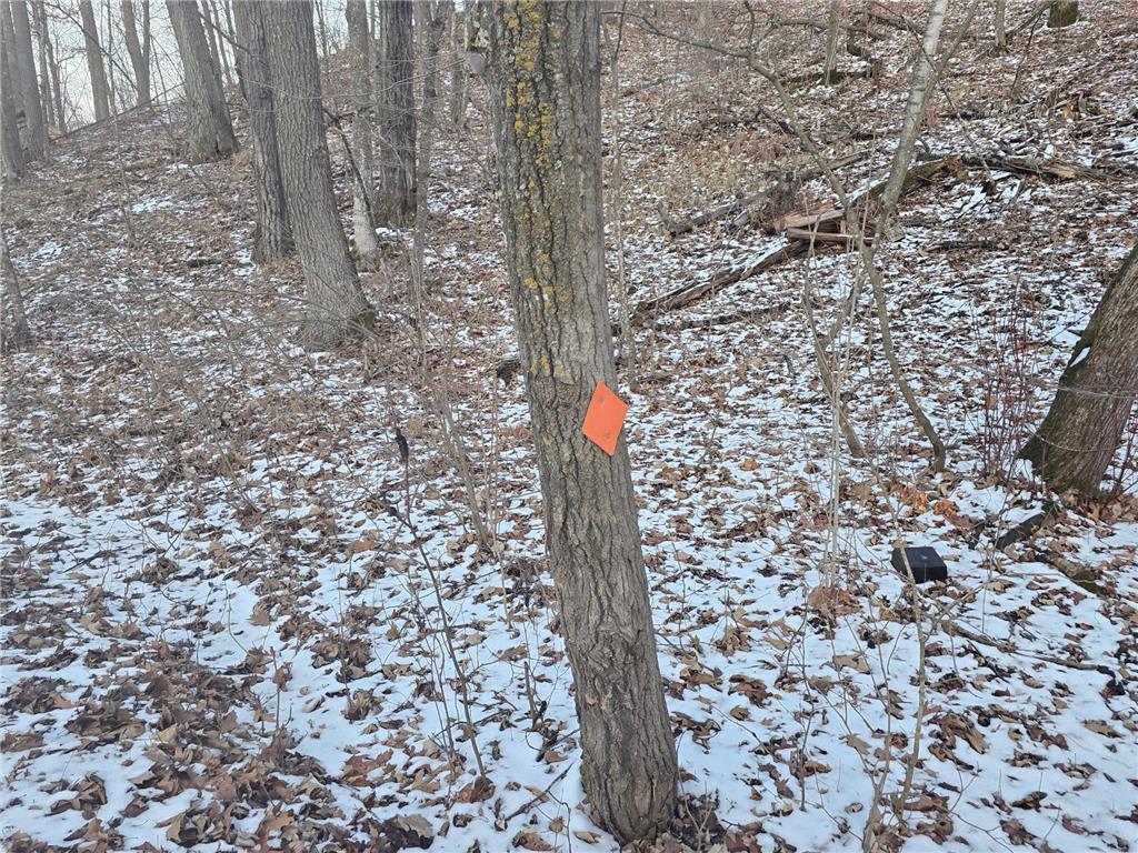 Lot25Blk1 Westward Ho Garrison MN 56450 6811519 image7