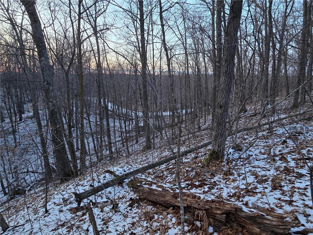 Lot25Blk1 Westward Ho Garrison MN 56450 6811519 image8