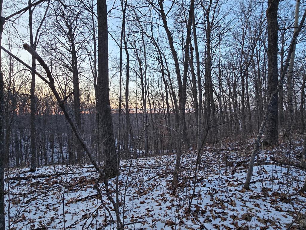 Lot25Blk1 Westward Ho Garrison MN 56450 6811519 image9