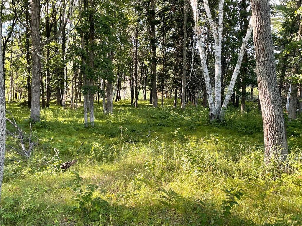Lot3.Block1 Bald Eagle Trail Crosslake MN 56442 6416970 image1