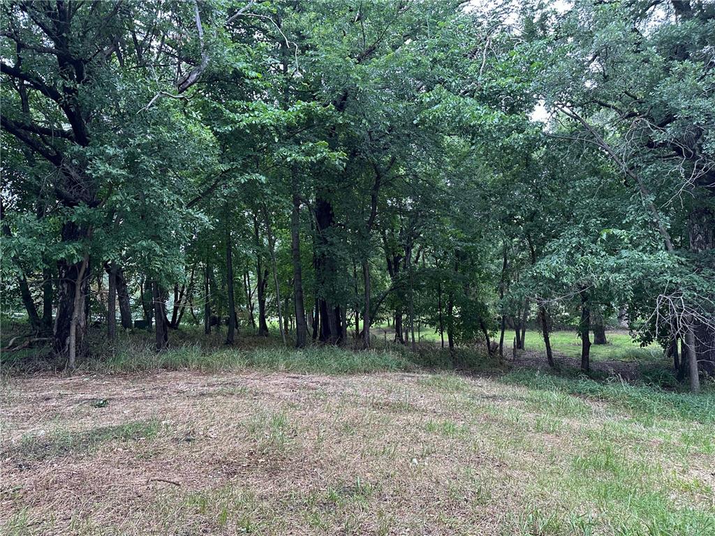 Lots 1 & 2 Mary Lane NW Millerville Twp MN 56315 - Moses 7015668 image10