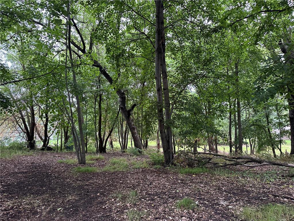 Lots 1 & 2 Mary Lane NW Millerville Twp MN 56315 - Moses 7015668 image11