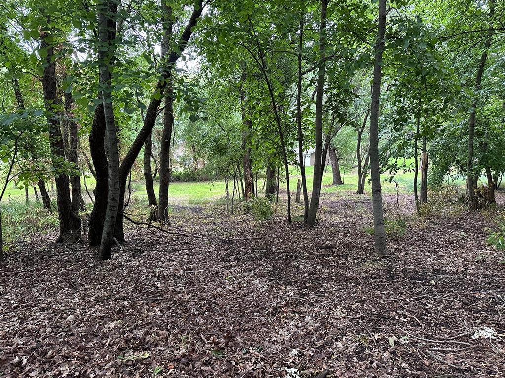 Lots 1 & 2 Mary Lane NW Millerville Twp MN 56315 - Moses 7015668 image12