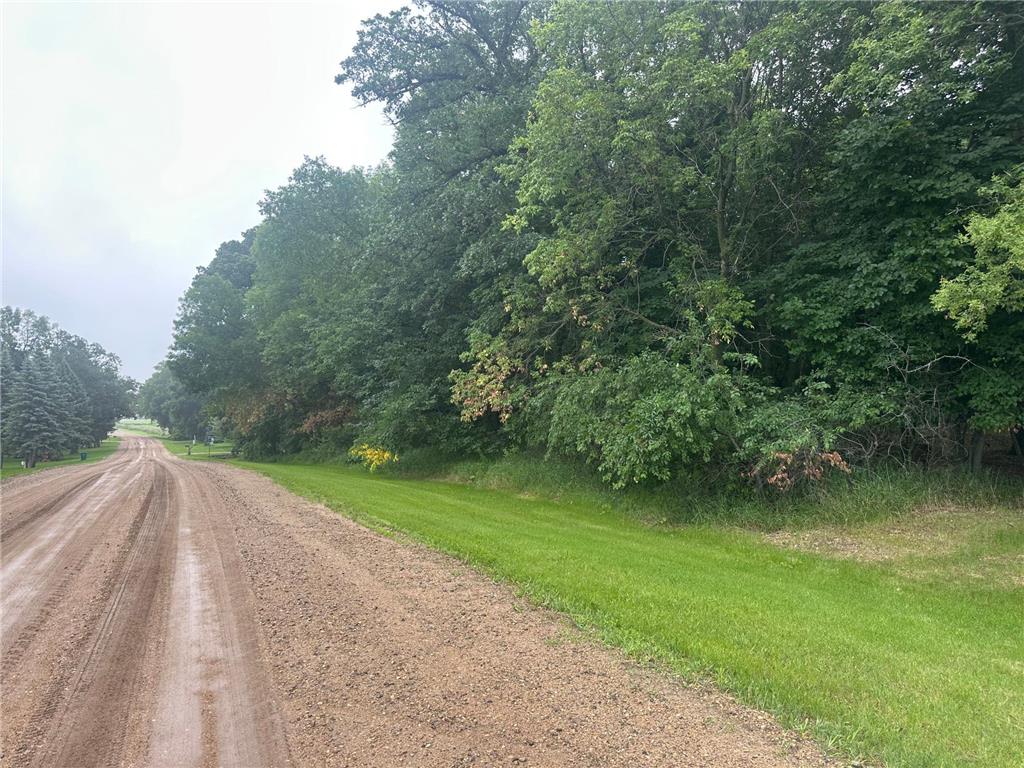 Lots 1 & 2 Mary Lane NW Millerville Twp MN 56315 - Moses 7015668 image17