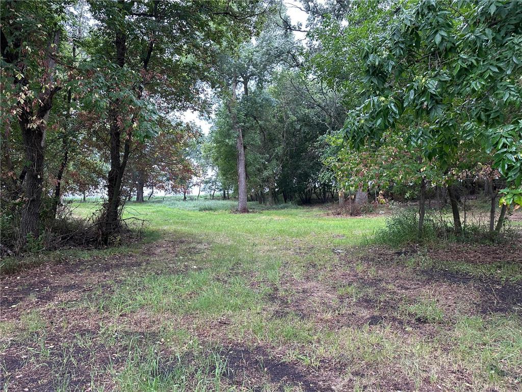 Lots 1 & 2 Mary Lane NW Millerville Twp MN 56315 - Moses 7015668 image19